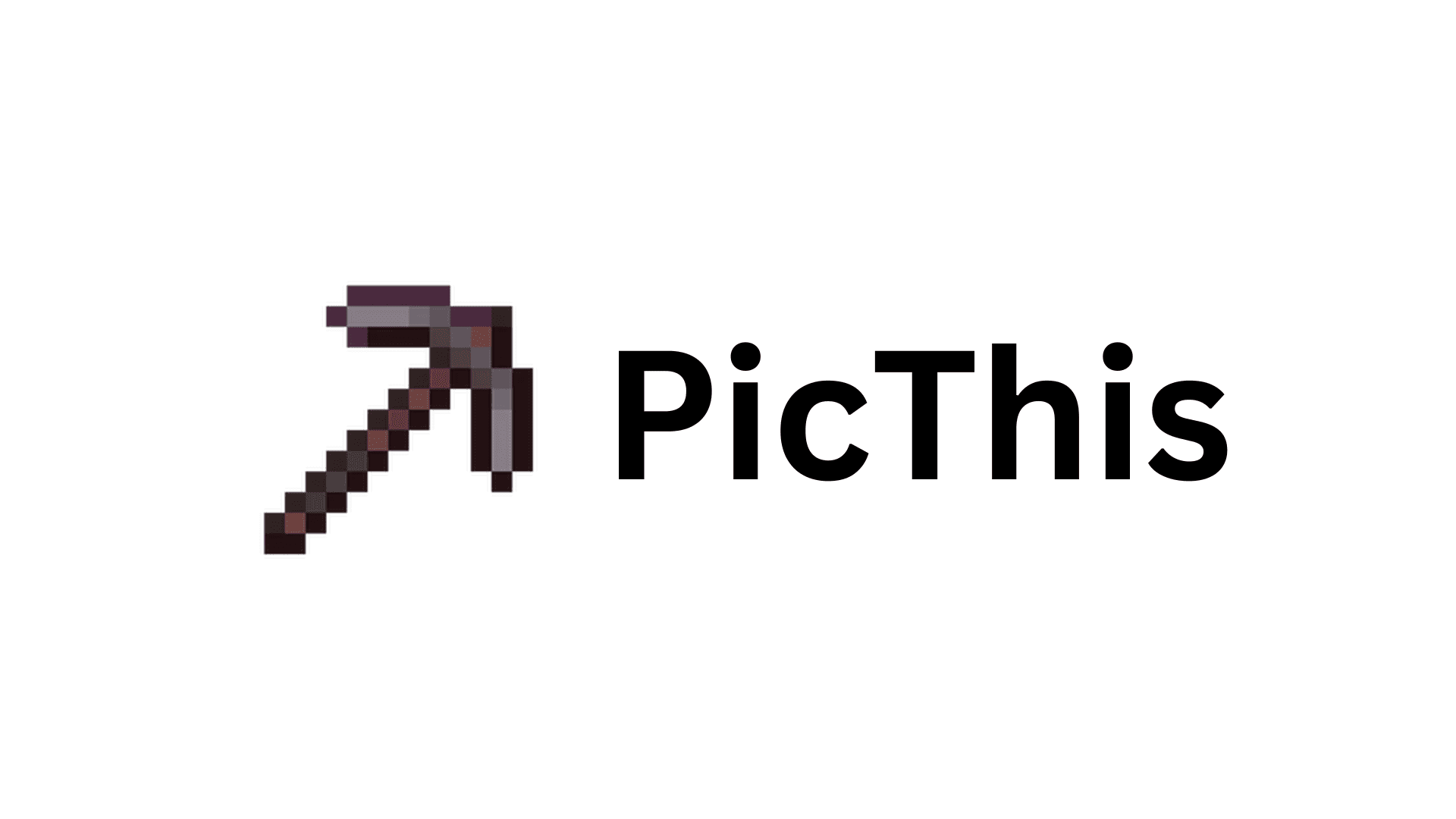 PicThis logo